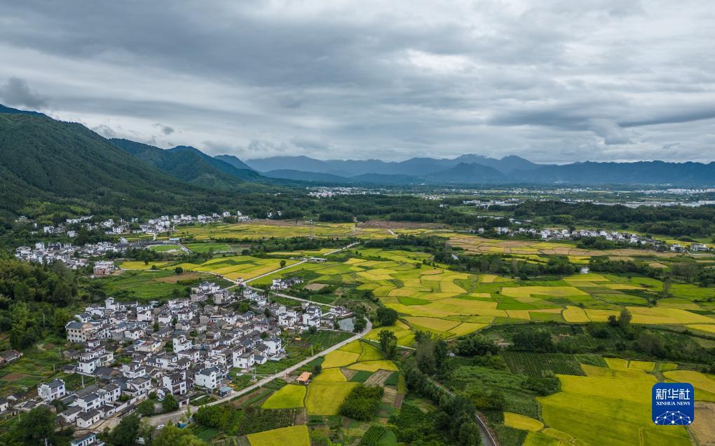 泊众棋牌官网